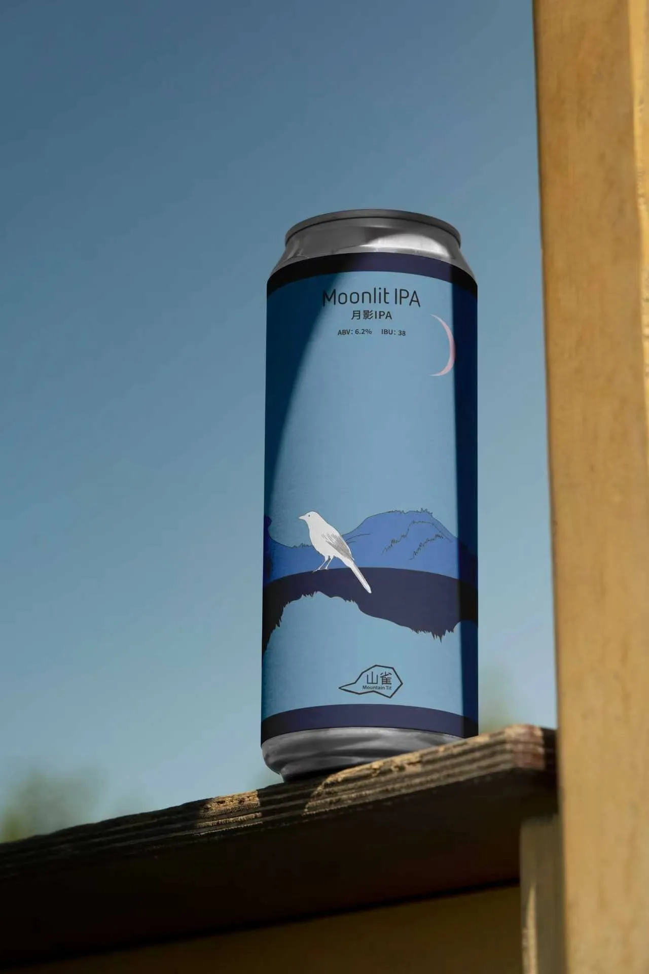Moonlit IPA can standing alone in open daylight with its pale blue mountain and moon graphic visible