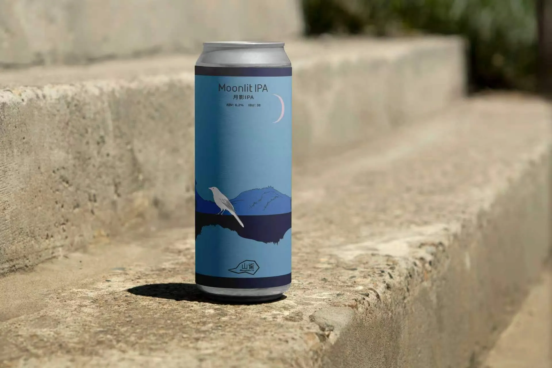 Moonlit IPA can resting on pale stone in bright outdoor light